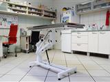 hlavní ambulance